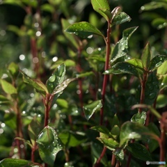 B3926AE3-D5D1-4B59-9ABF-B09507B75FCC