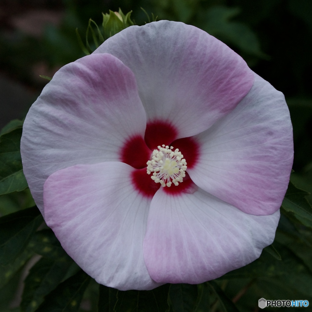 1779A083-BB8D-432B-8DFB-95762E918B72