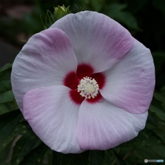 1779A083-BB8D-432B-8DFB-95762E918B72