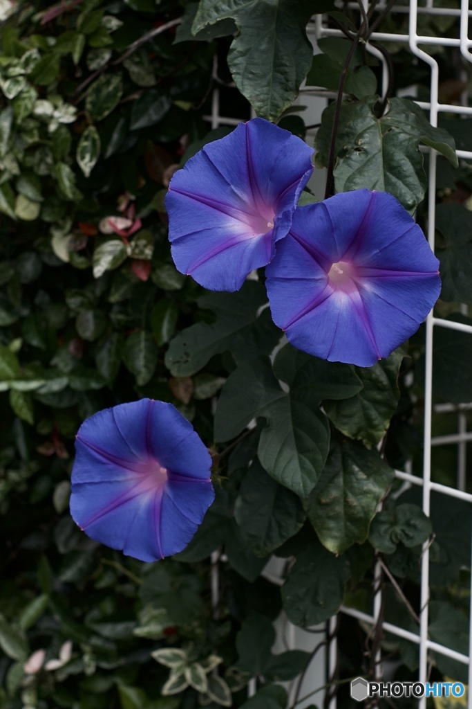 BA1E244C-A110-4A52-BCB5-6B99A7080CB9