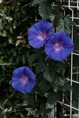 BA1E244C-A110-4A52-BCB5-6B99A7080CB9