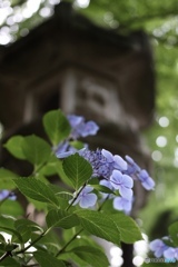 FA01559F-DAF4-4309-9DFE-9FA8F9050171