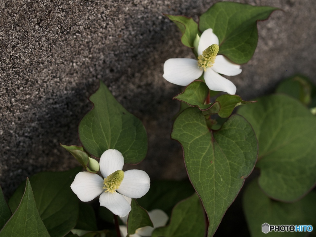 00D9363B-8375-44E4-A7A3-5FD94A748DF2