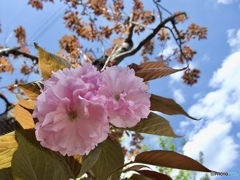 D26AD6B8-1817-4278-9E7E-8B9A2C3AED74