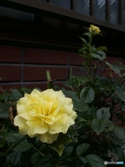 9991F33E-EC4E-47C3-91C6-08B300CD8BAC