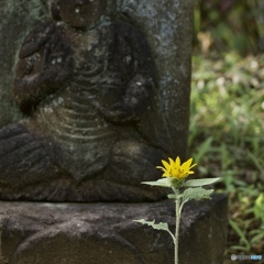 3913D5BB-6E31-4F96-9125-AF112D9BEE53