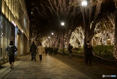 2482309B-E851-4E17-84ED-ACE193A33158