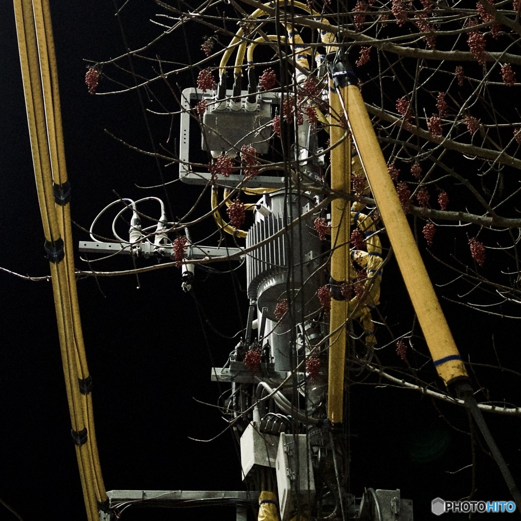 20A2F4A0-5491-445A-9ECC-696488B4FFE3