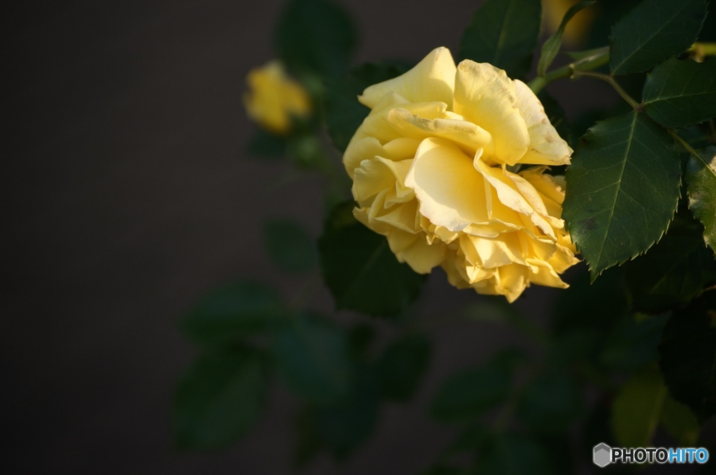 885DB9B9-051A-4F16-AA7D-5B2CE27DB73E