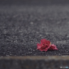 3E3A9CBD-7FF5-4492-A2FC-E5CA631894A1