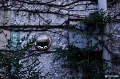 D4CA0C67-D5AF-4AED-976A-F56F32FBE57A