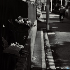 36E35AC9-4C27-4D2C-8478-356EBFBC9FF1