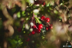 E6E8BB05-1249-4750-BD52-6AF5B890DB10