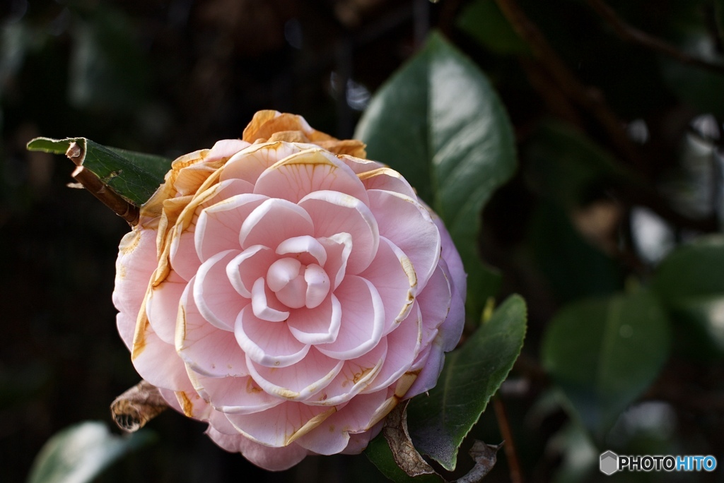 EAB497A0-AA22-432C-9320-CCD50A58CC08