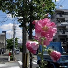 DA864379-4C01-4AC1-AF55-D2A77BCF2D71