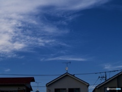 FD698256-7A81-4C57-B400-45E4630EFB86