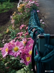 DFD89E40-90ED-4DC5-9B63-DE8F6AAD0850