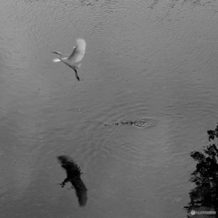 503E4B1B-DCE0-43F8-B91A-9B2B9C5E61E4