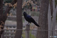 168A880D-7177-436C-89B1-2AA552C7EEAB