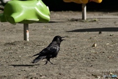 0C11708A-7156-4BF0-BA0B-E2729131676D