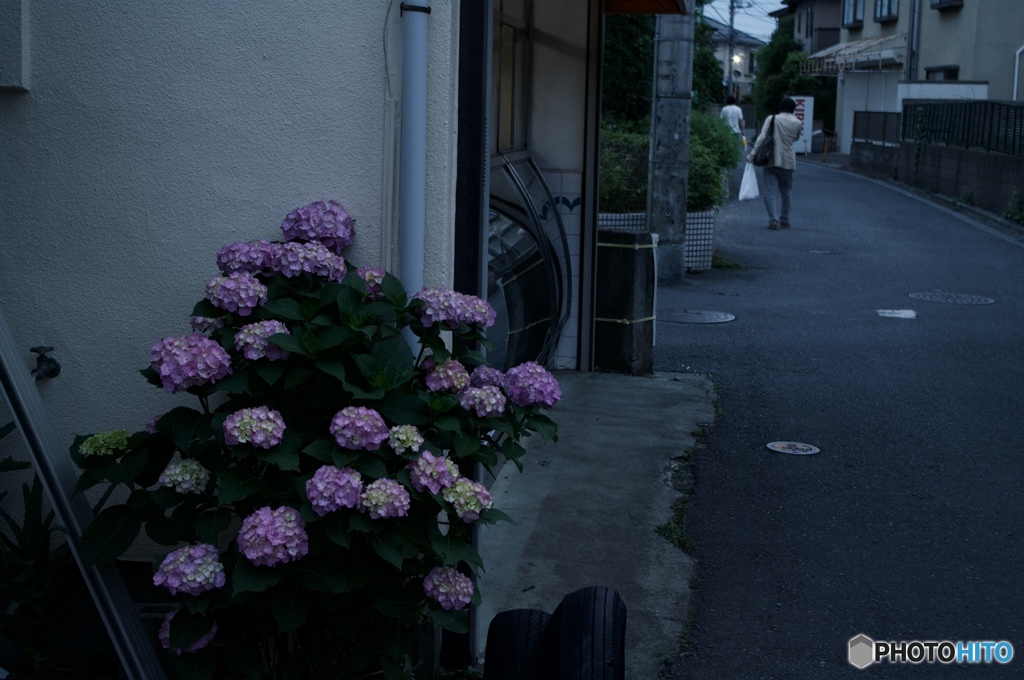 B4AD179F-95F2-47D2-9E60-E8E88EF5C7D4