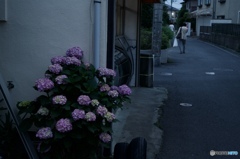 B4AD179F-95F2-47D2-9E60-E8E88EF5C7D4