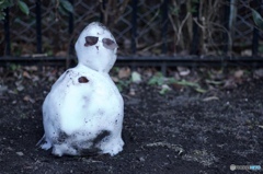 6E27CEED-A99A-4EF1-980C-30C7FA6D5214