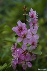 97C837EC-AFD3-48B2-98D4-5472EA7918E9