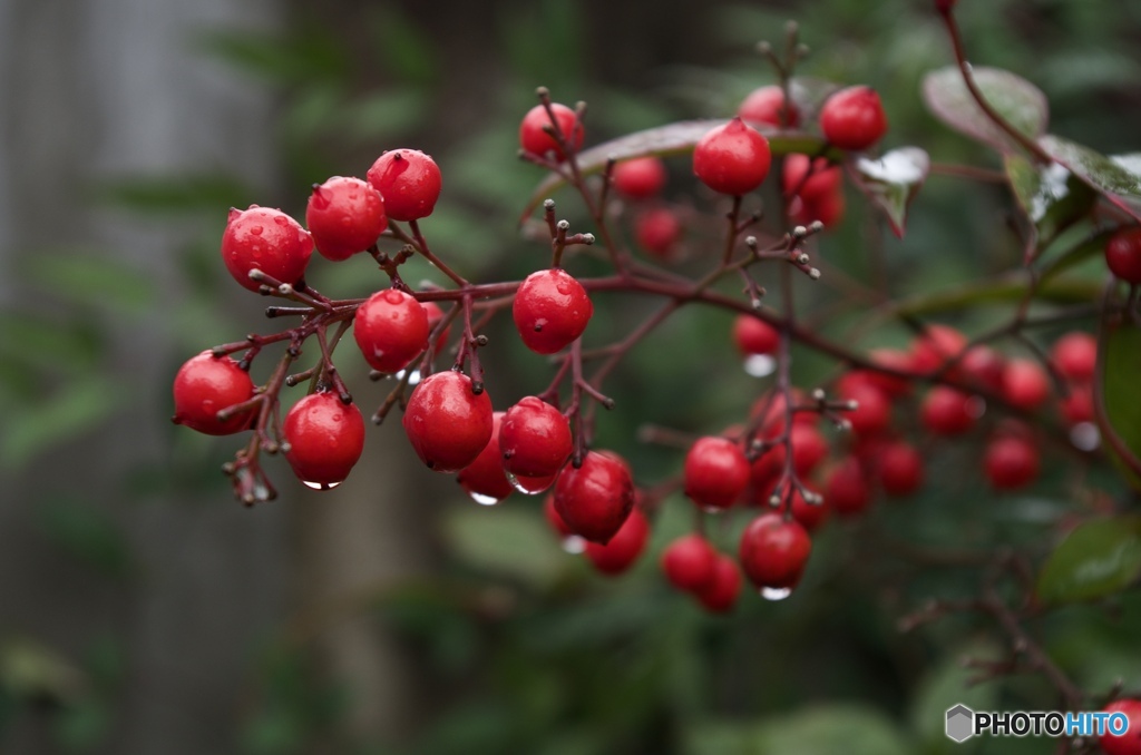 F8061C17-D17A-4397-A5C7-EAF26D49D397