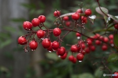 F8061C17-D17A-4397-A5C7-EAF26D49D397