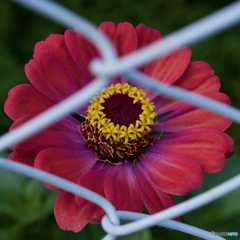 8D1CCA70-9165-4707-B42B-563736207137