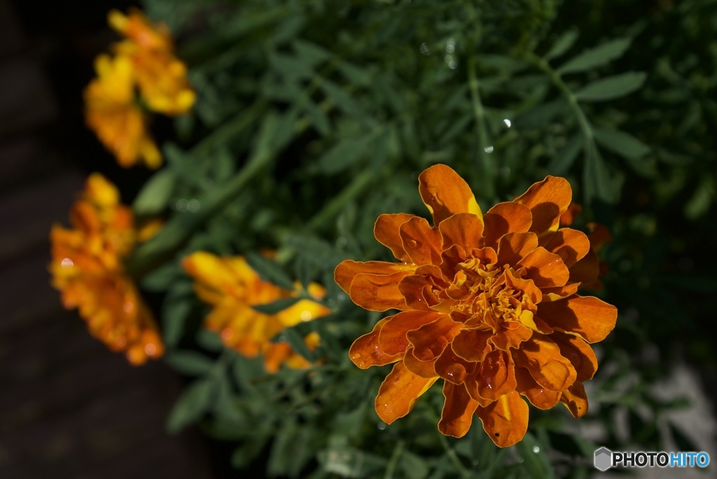 85ED8CDF-8F44-4F0B-908C-7970FF3F624B