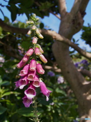 01DE099F-34BF-4F89-B637-BD92F4EAD79E