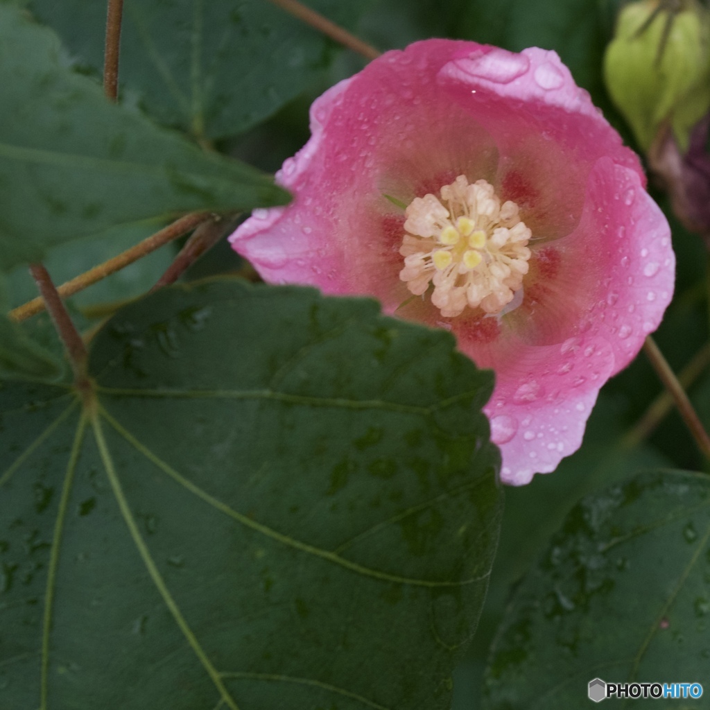 F087D5E0-85A4-45CB-8540-B2D0B00CDCEF