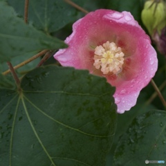 F087D5E0-85A4-45CB-8540-B2D0B00CDCEF