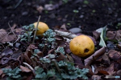 33061F3C-C920-46DF-94B4-EA3B6414AEF2