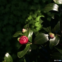 582A2EB2-1174-4512-9769-90B15B63D20F