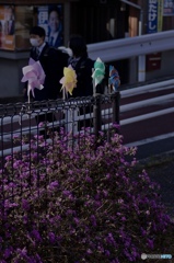 BD354D3B-3937-43EA-BF59-9698B62B355C