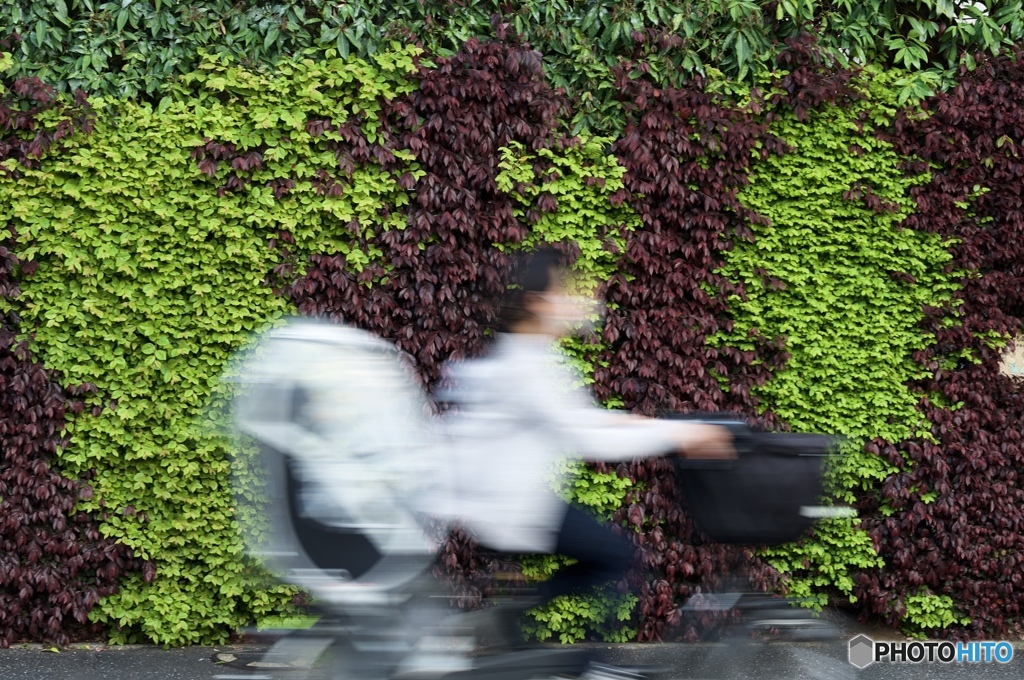 C6FEF77A-11CA-450E-BE7E-483EBE1AB682