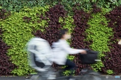 C6FEF77A-11CA-450E-BE7E-483EBE1AB682