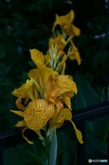 7EBA489F-1CD0-4CF4-96E9-542B195ED170