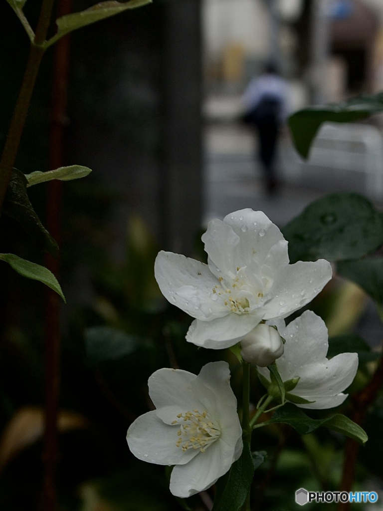 D8B76BDF-25B0-489E-8DE7-432943537B38
