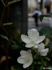 D8B76BDF-25B0-489E-8DE7-432943537B38