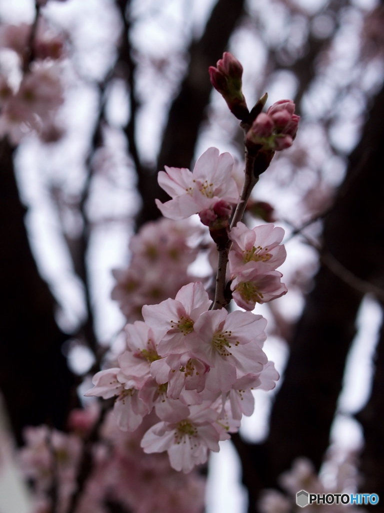 FEE8E8AC-C6CD-47EB-BDAE-2C6EA72C6296