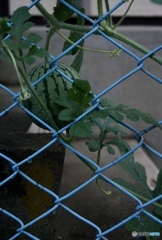 B4D267A0-5E58-4BCE-9491-9486A5D15B07