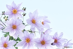 23C589AB-7BA6-4303-92BD-0A5FC5AA0576