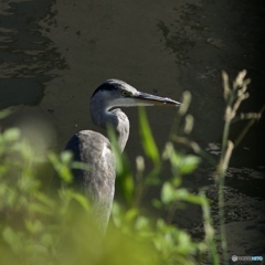 8369F515-DCD5-476F-BB98-B236CBE2B27A