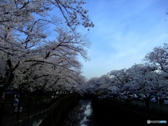 EEF47EBD-555E-47A0-98FE-733DE3BB9271