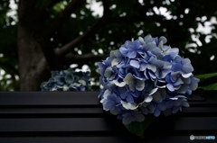 672DDF62-8C58-43D4-8DCF-0917340E8E99