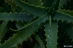 D4714EF4-192D-46D4-82A9-D24F3F78E348